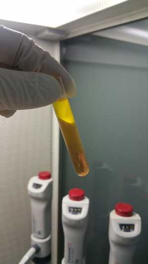 Jornada Farmac&eacute;utica